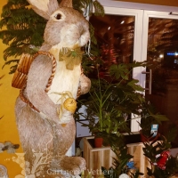 Osterhase Gaertnerei Vetter